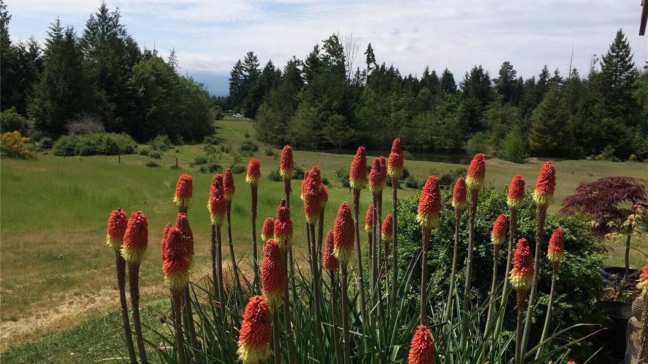 Photo of Outdoor in Regional District of Nanaimo