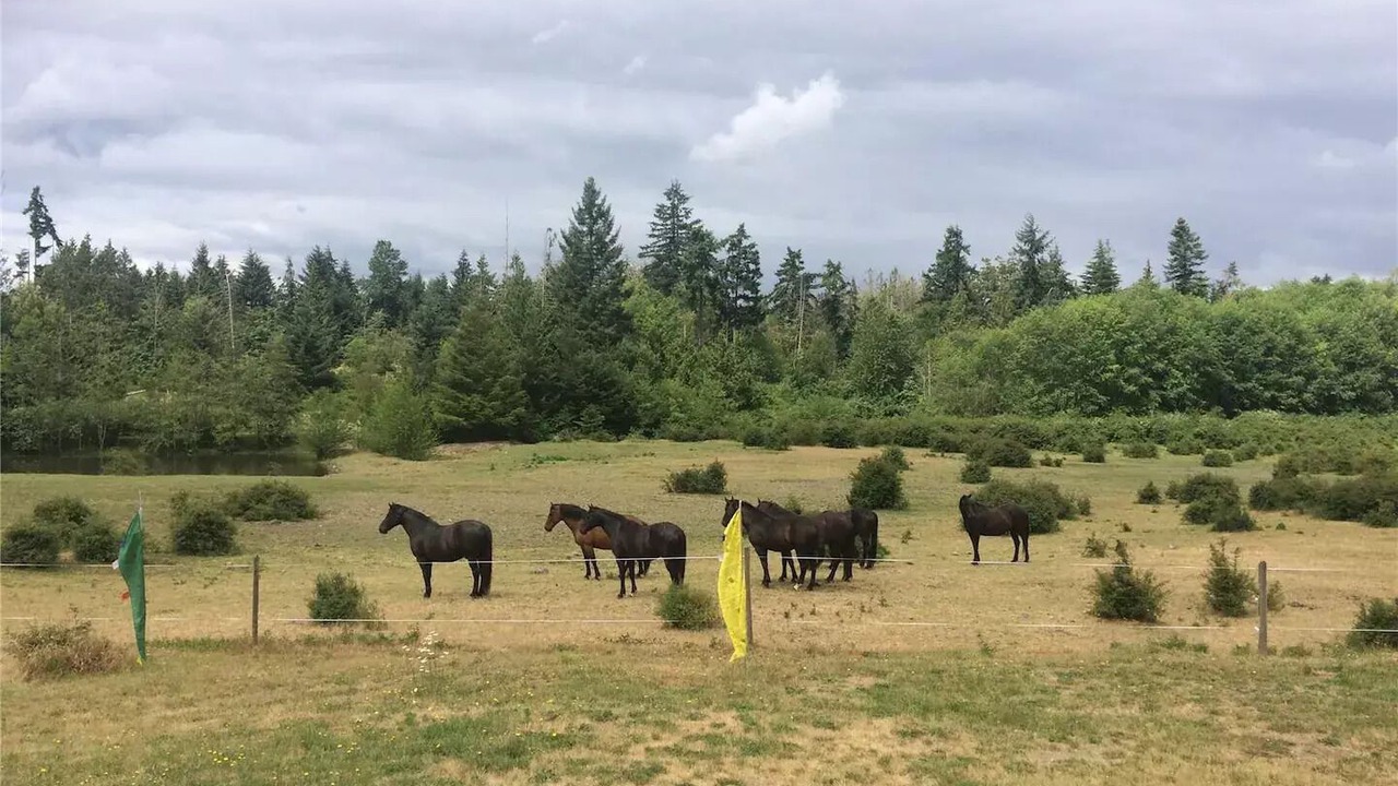 Photo of Others in Regional District of Nanaimo