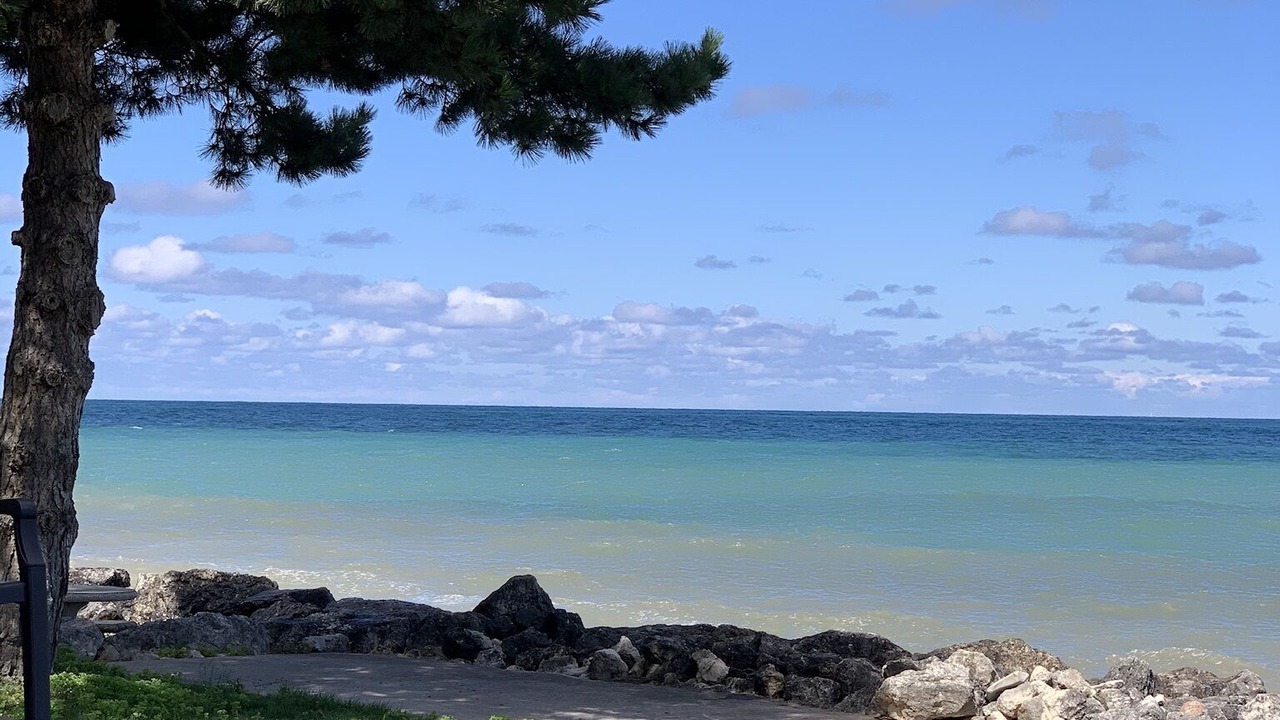 Photo of Outdoor in Craigleith