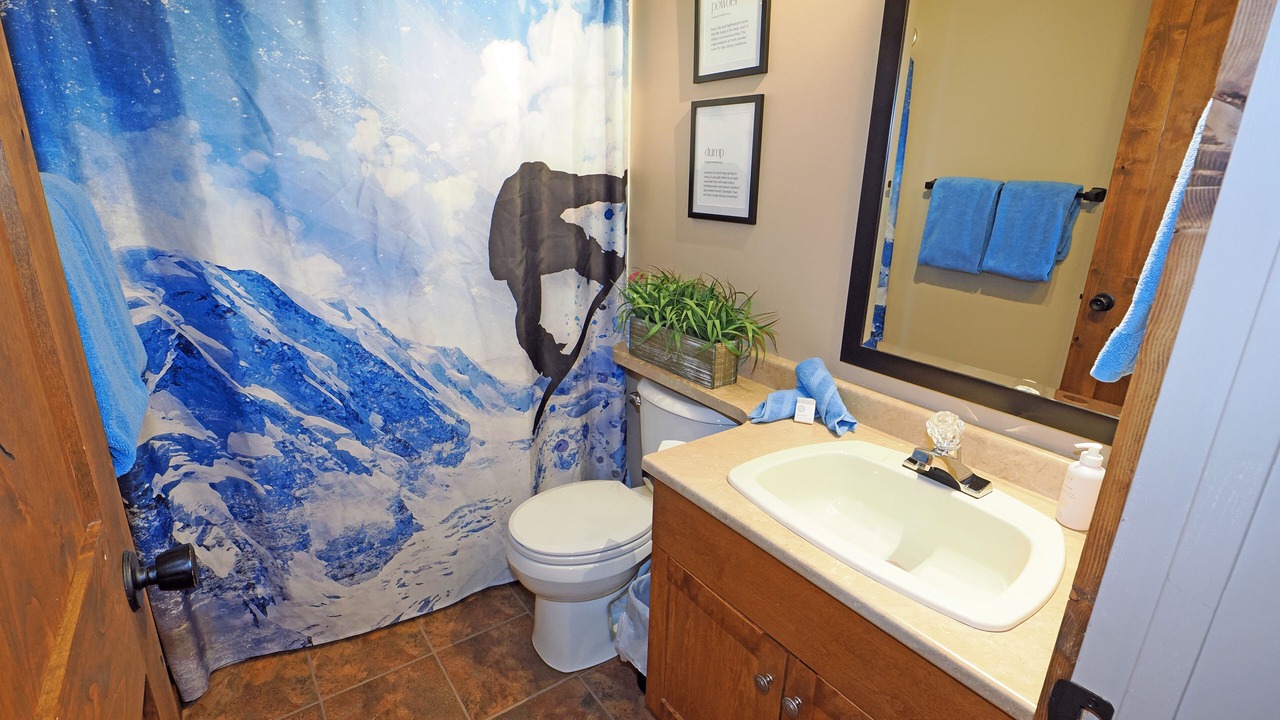 Photo of Bathroom in Big White Ski Resort