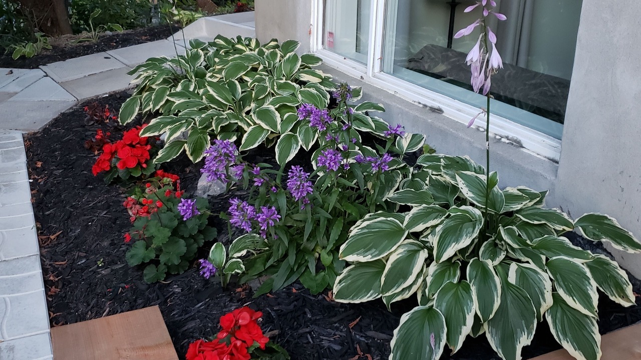 Photo of Outdoor in Chicoutimi