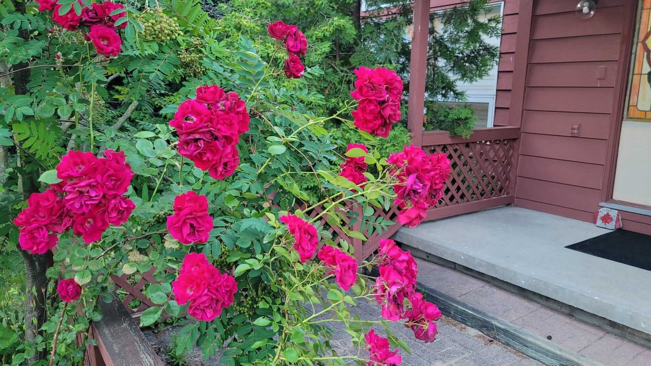 Photo of Outdoor in Kincardine