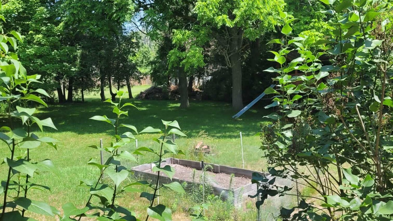 Photo of Outdoor in Kincardine