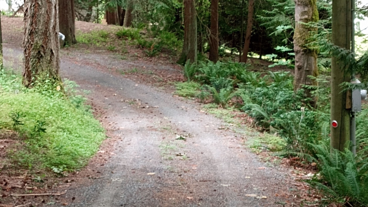 Photo of Outdoor in North Oyster