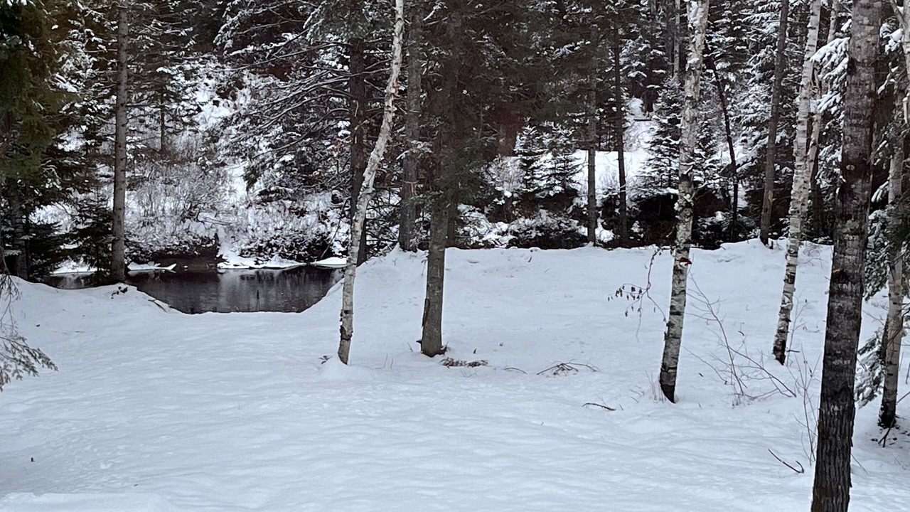 Photo of Others in Mauricie