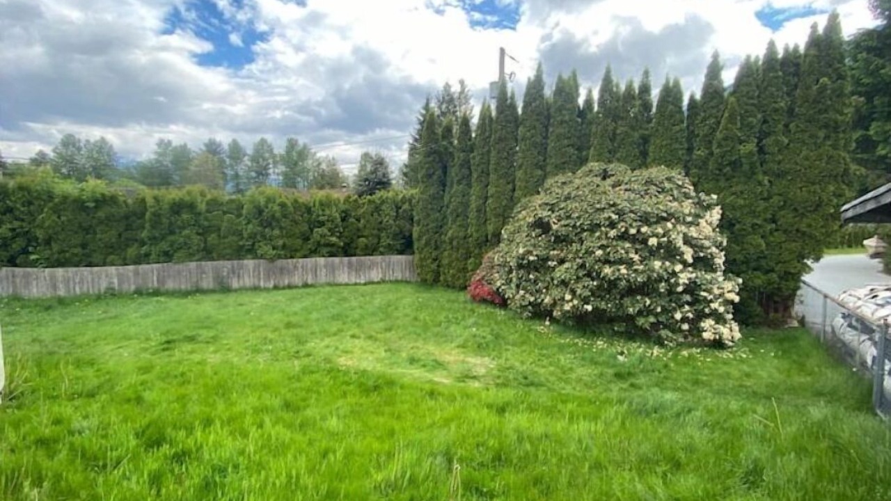 Photo of Outdoor in Brackendale
