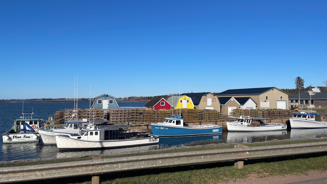 Photo of Others in French River