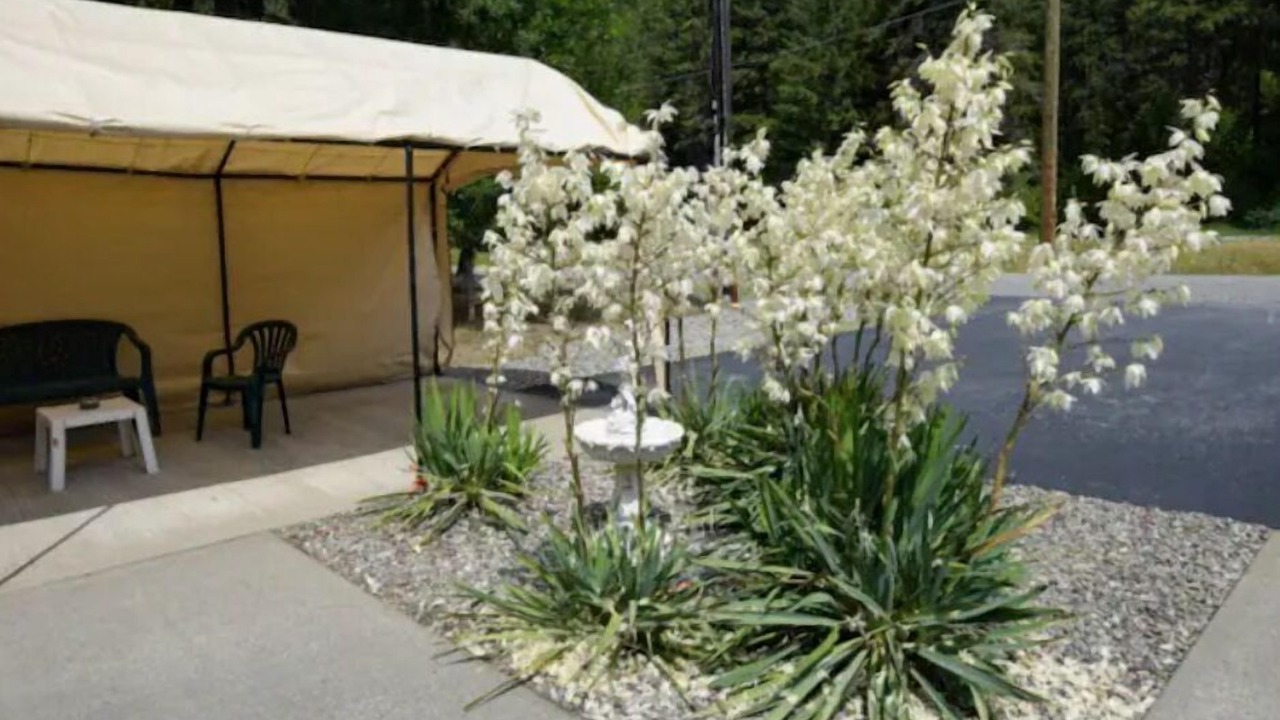 Photo of Patio Balcony in Christina Lake