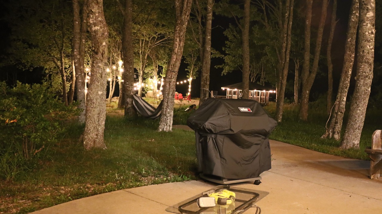 Photo of Outdoor in East Dalhousie