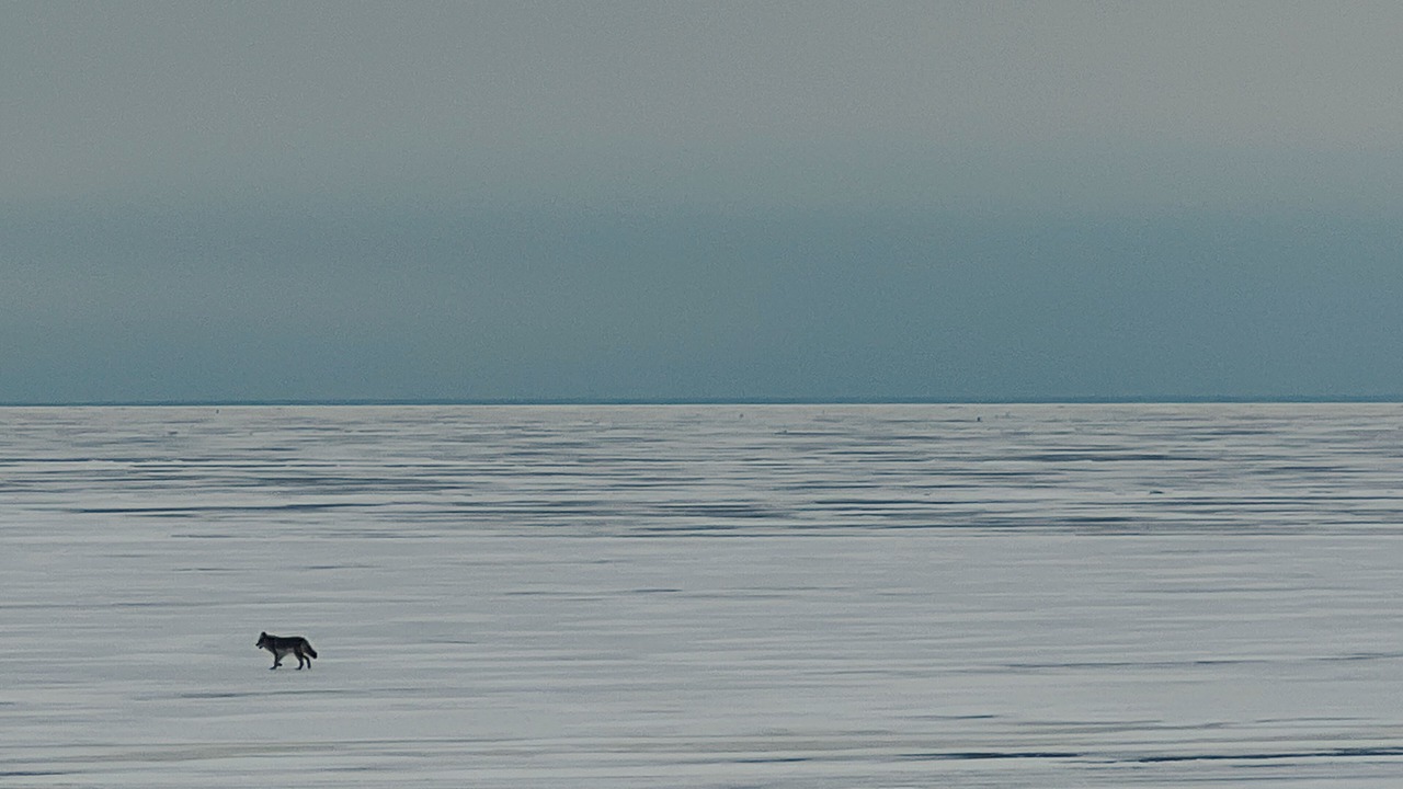 Photo of Others in Gimli