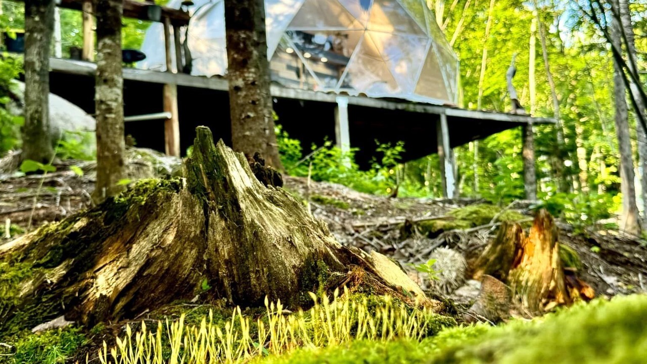 Photo of Others in Mauricie