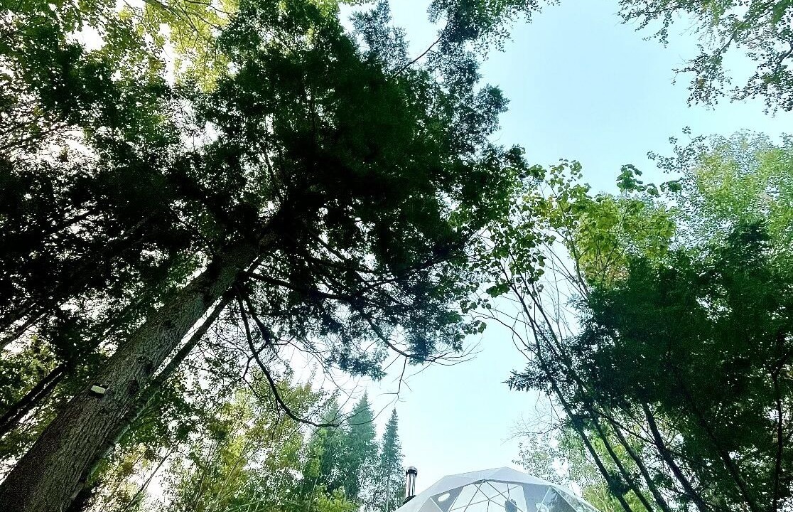 Photo of Others in Mauricie