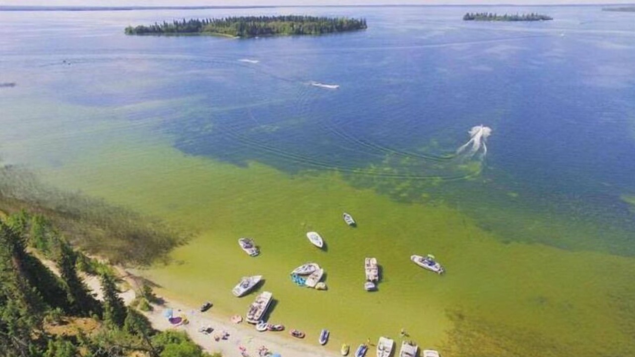 Photo of Others in Candle Lake