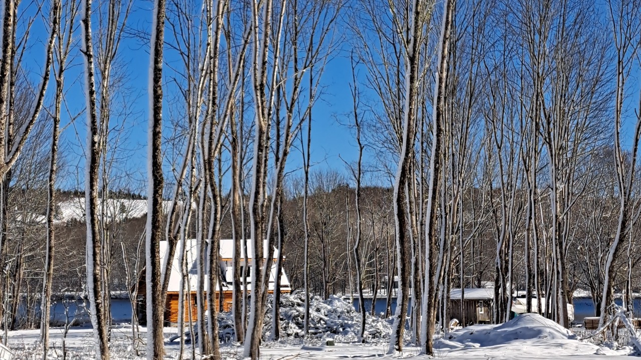 Photo of Others in Antigonish County