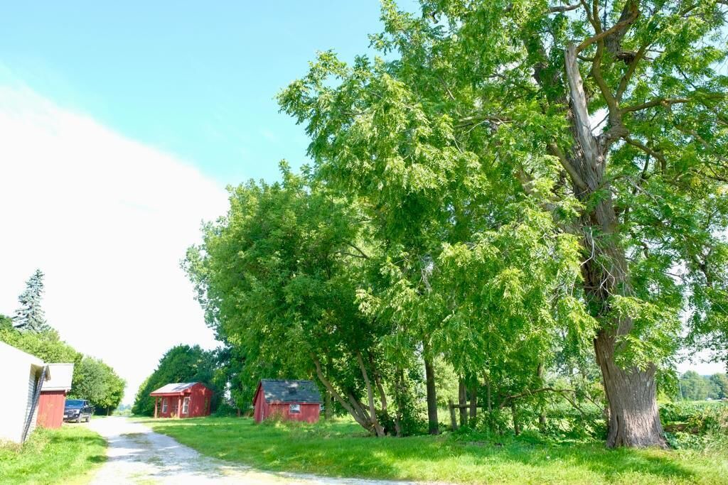 Photo of Outdoor in Erin