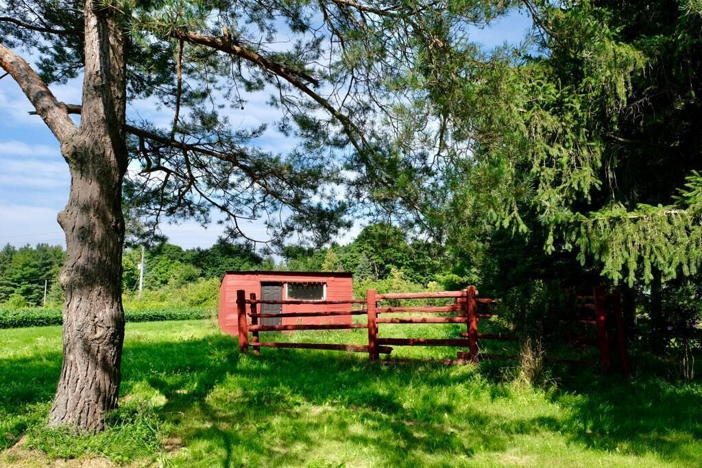 Photo of Outdoor in Erin