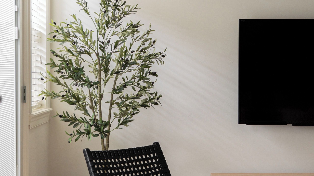 Photo of Livingroom in Shaughnessy