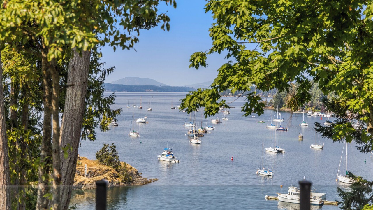 Photo of Others in Brentwood Bay