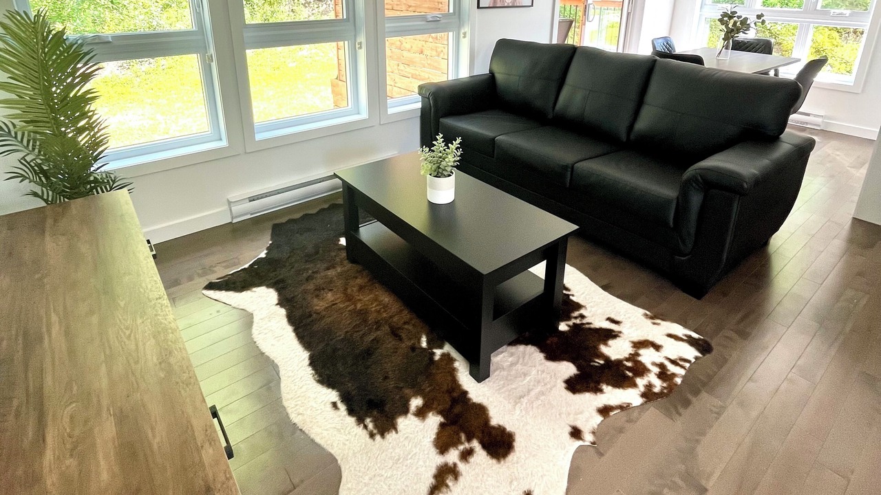 Photo of Livingroom in Ville-Marie