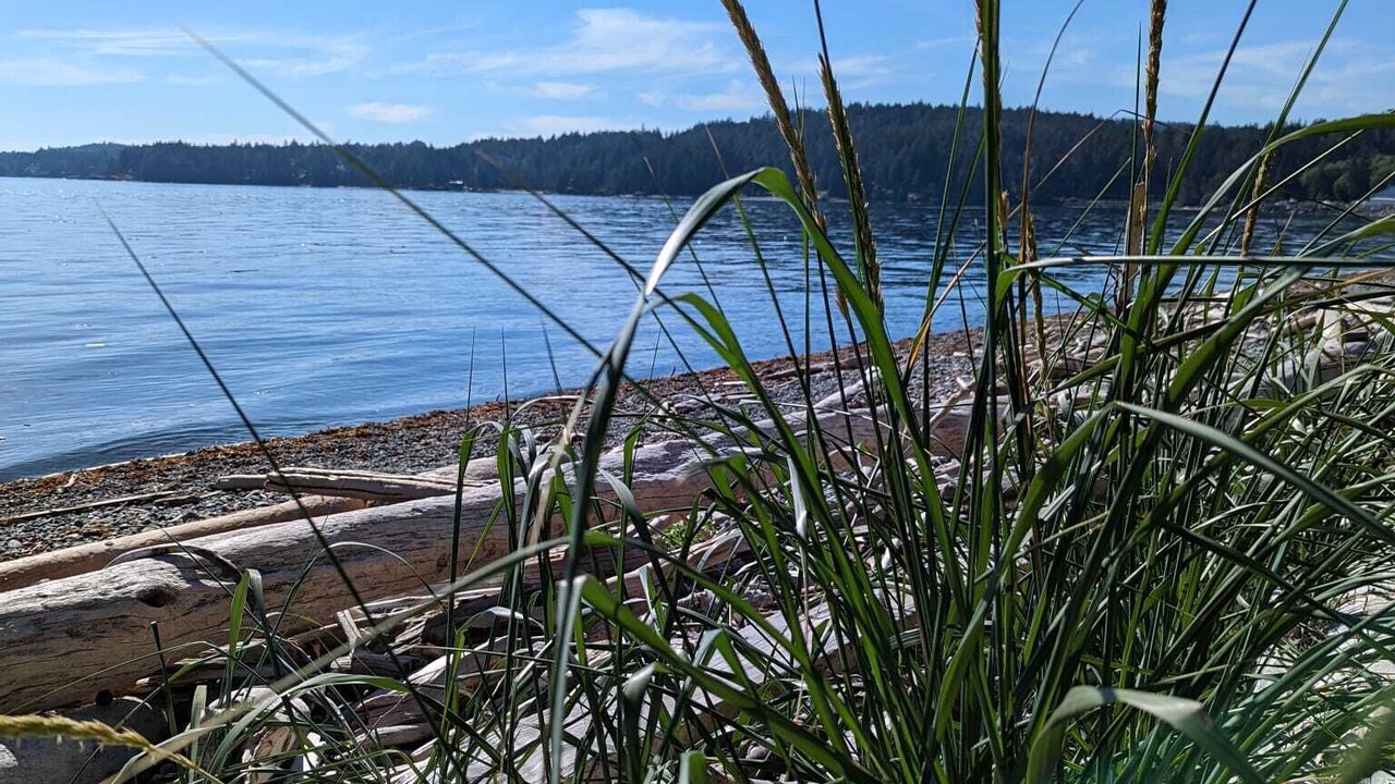 Photo of Others in Sooke