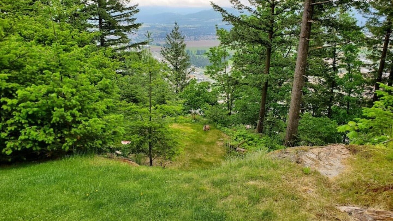 Photo of Outdoor in Sardis