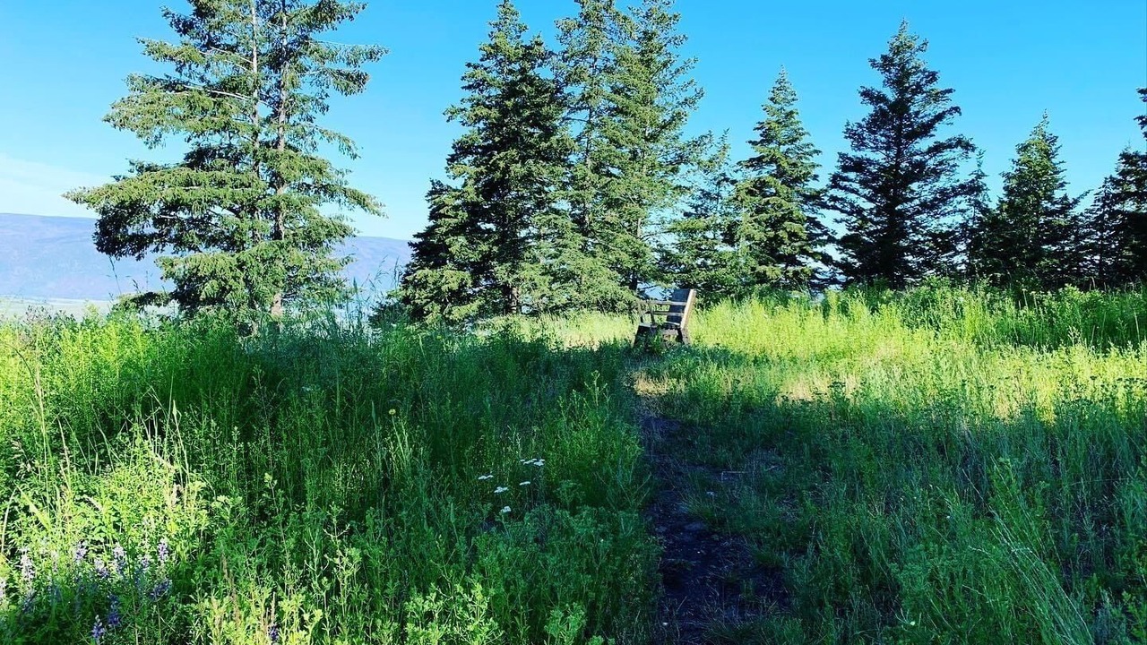 Photo of Others in Foothills