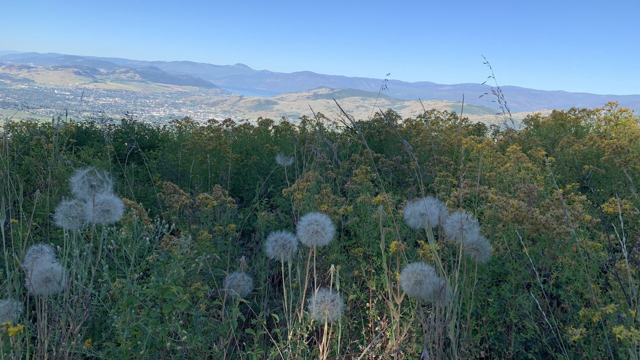 Photo of Others in Foothills