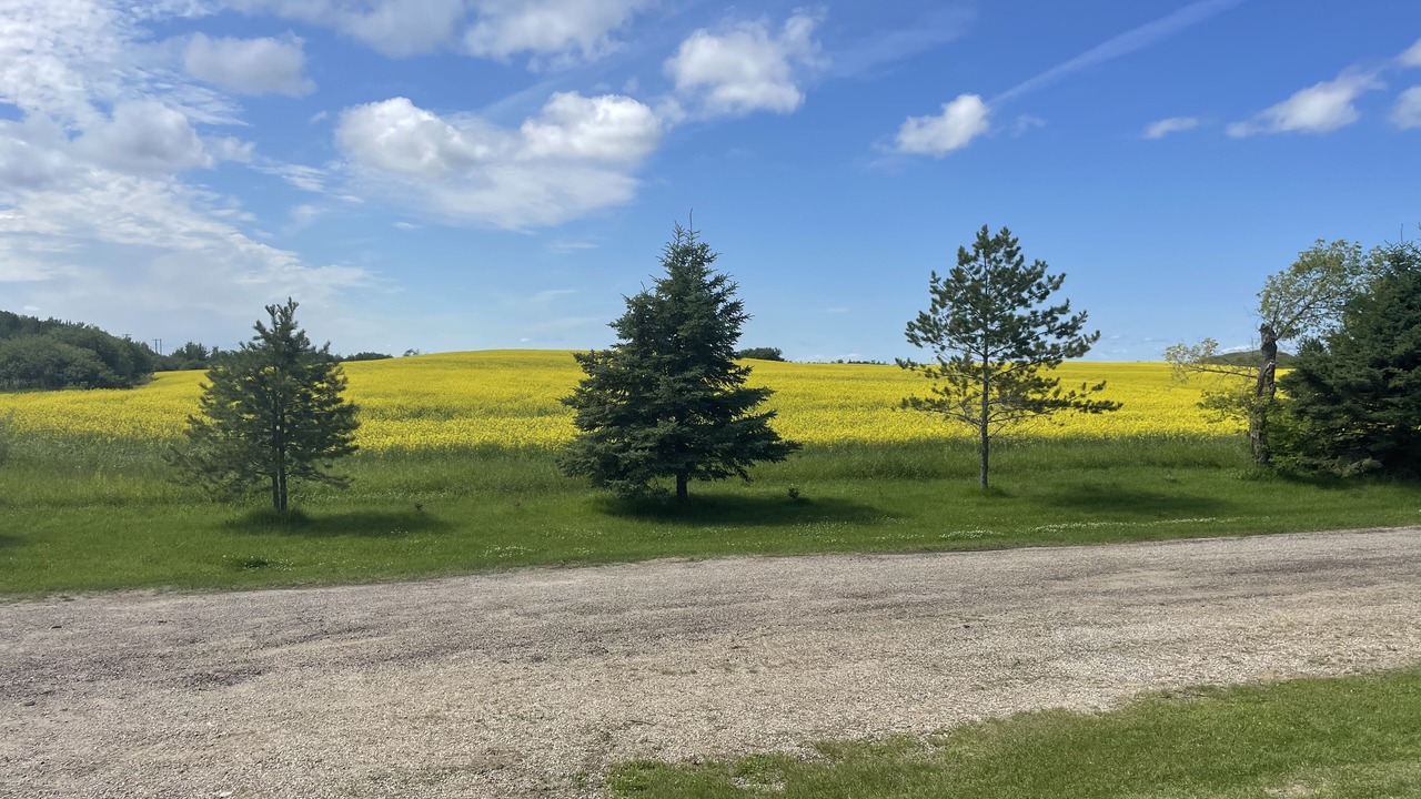 Photo of Others in Sandy Lake