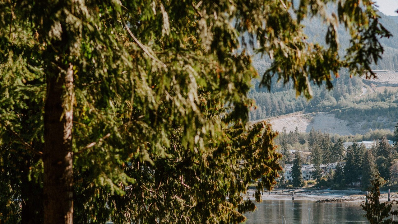 Photo of Others in Sechelt