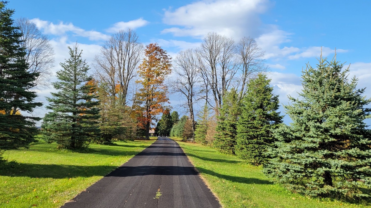 Photo of Others in Calabogie