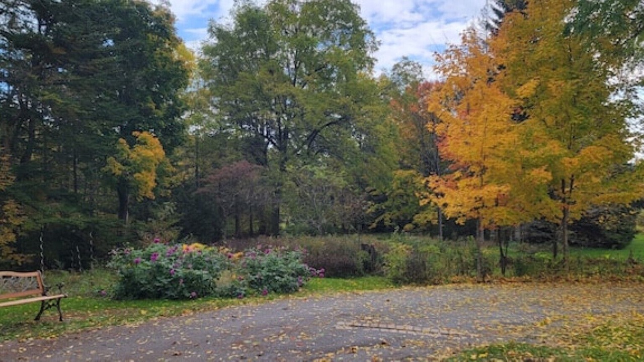 Photo of Outdoor in Colborne