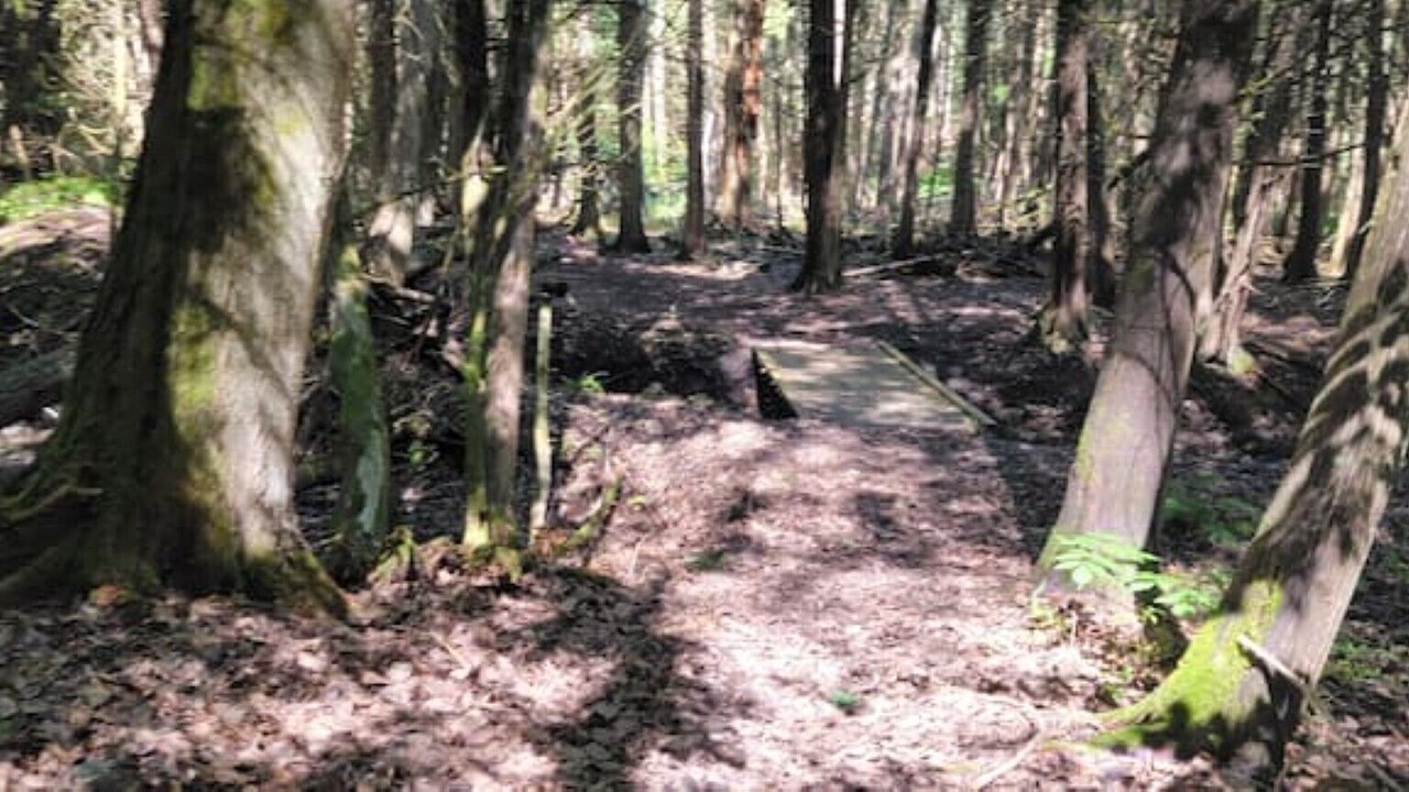 Photo of Outdoor in Colborne