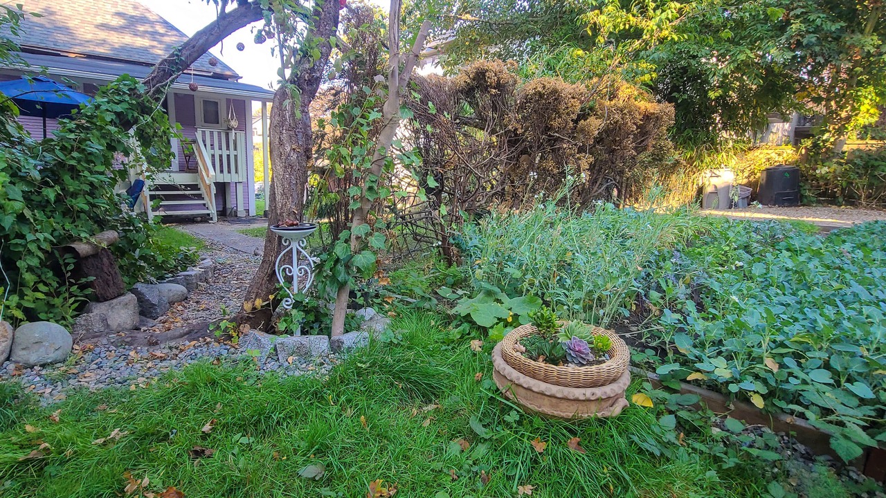 Photo of Outdoor in Kitsilano