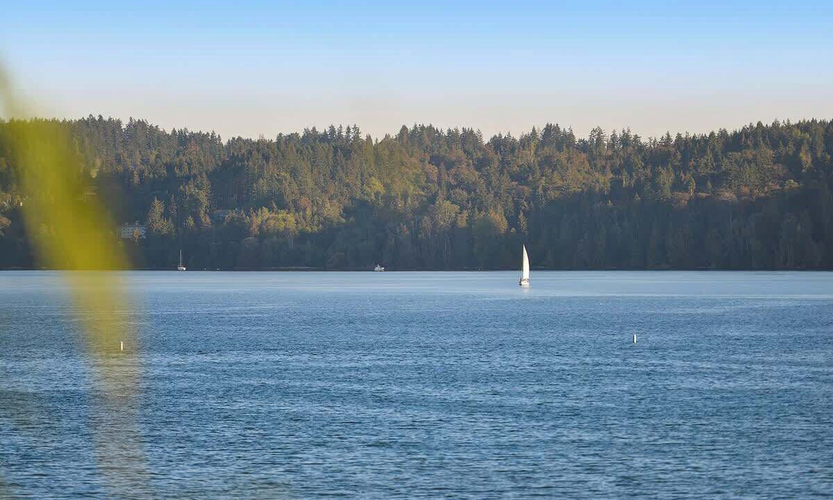 Photo of Others in North Cowichan