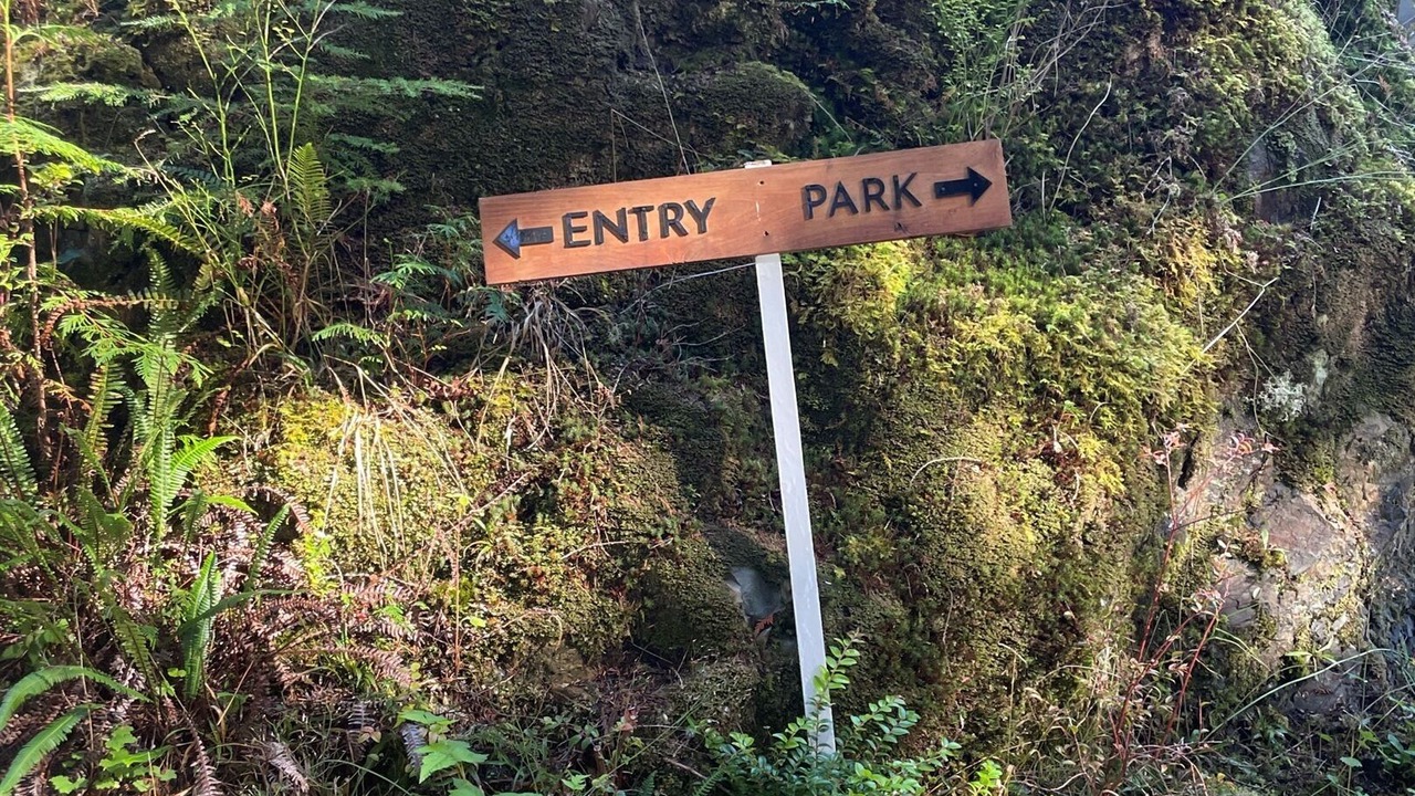 Photo of Others in Tofino