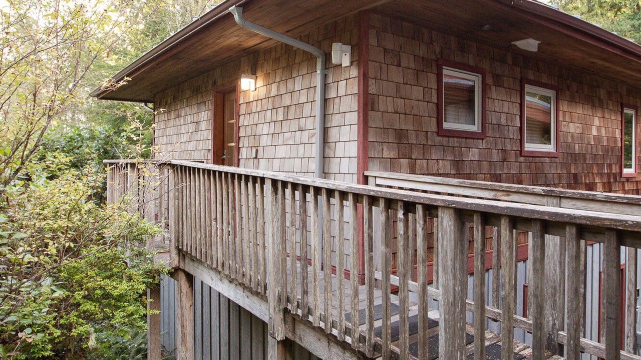 Photo of Others in Tofino