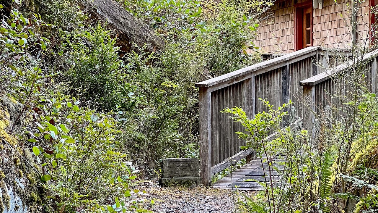 Photo of Others in Tofino