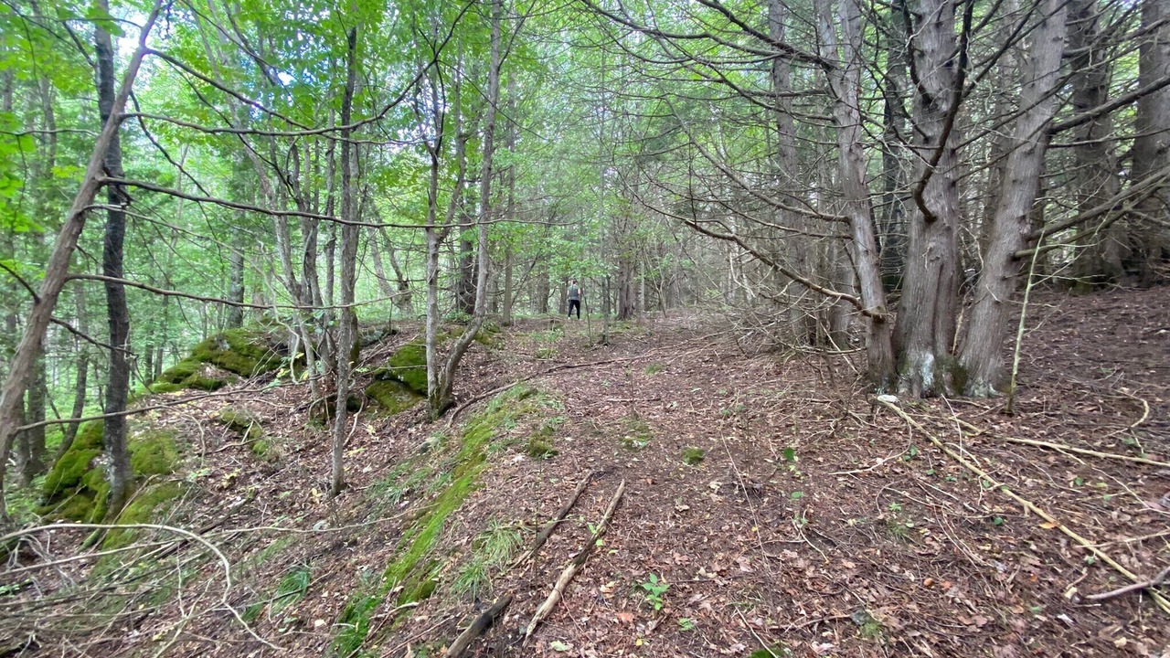 Photo of Outdoor in Arden