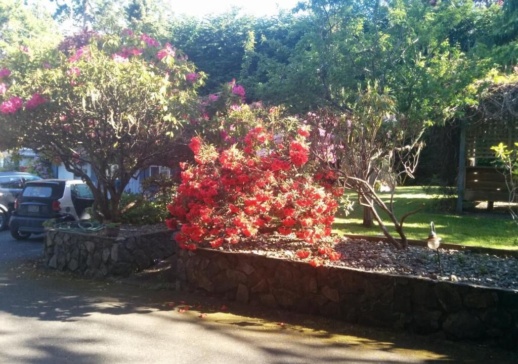 Photo of Outdoor in Sooke
