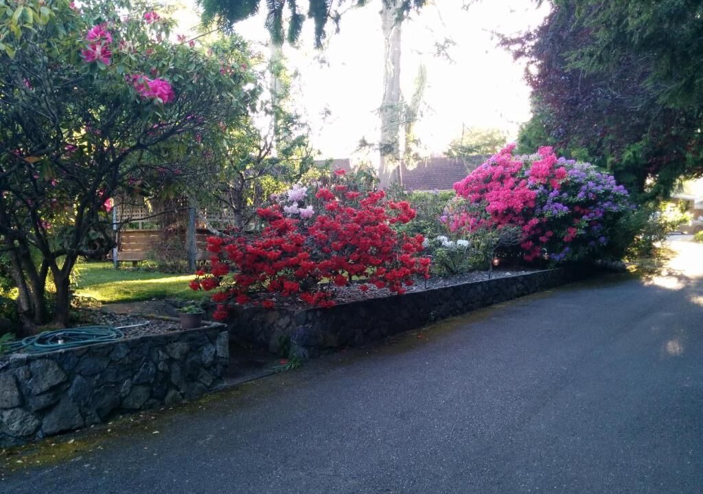 Photo of Outdoor in Sooke