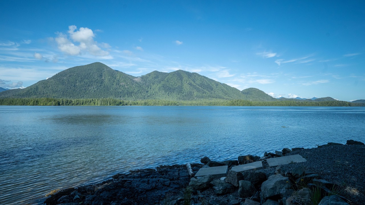 Photo of Others in Tofino