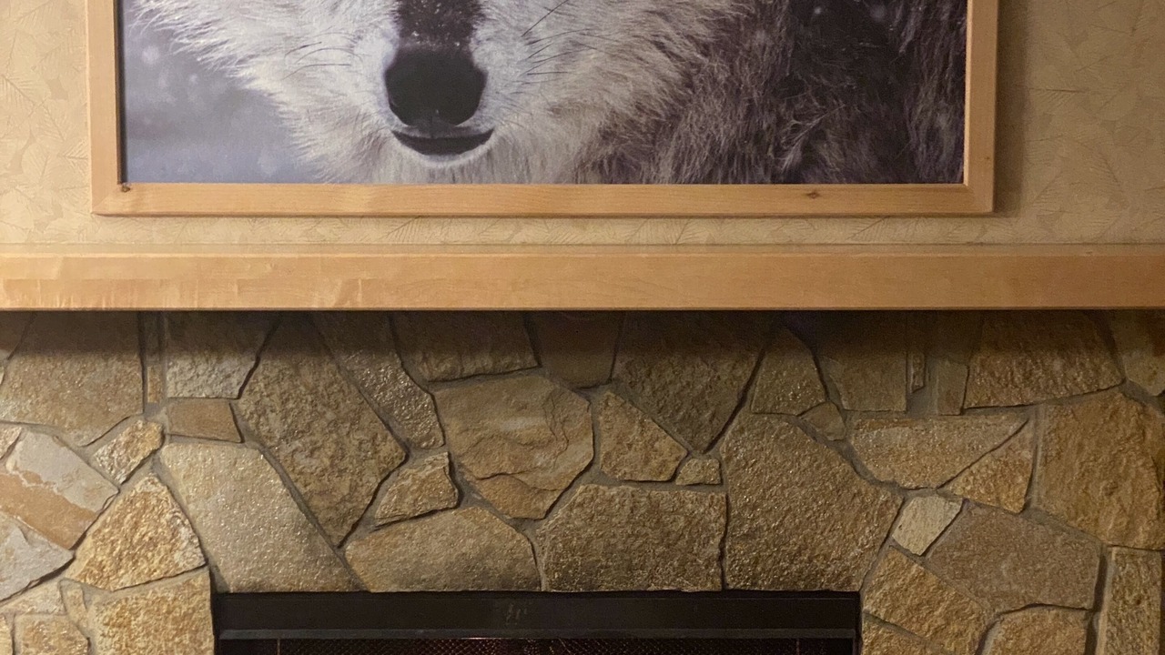 Photo of Livingroom in Banff
