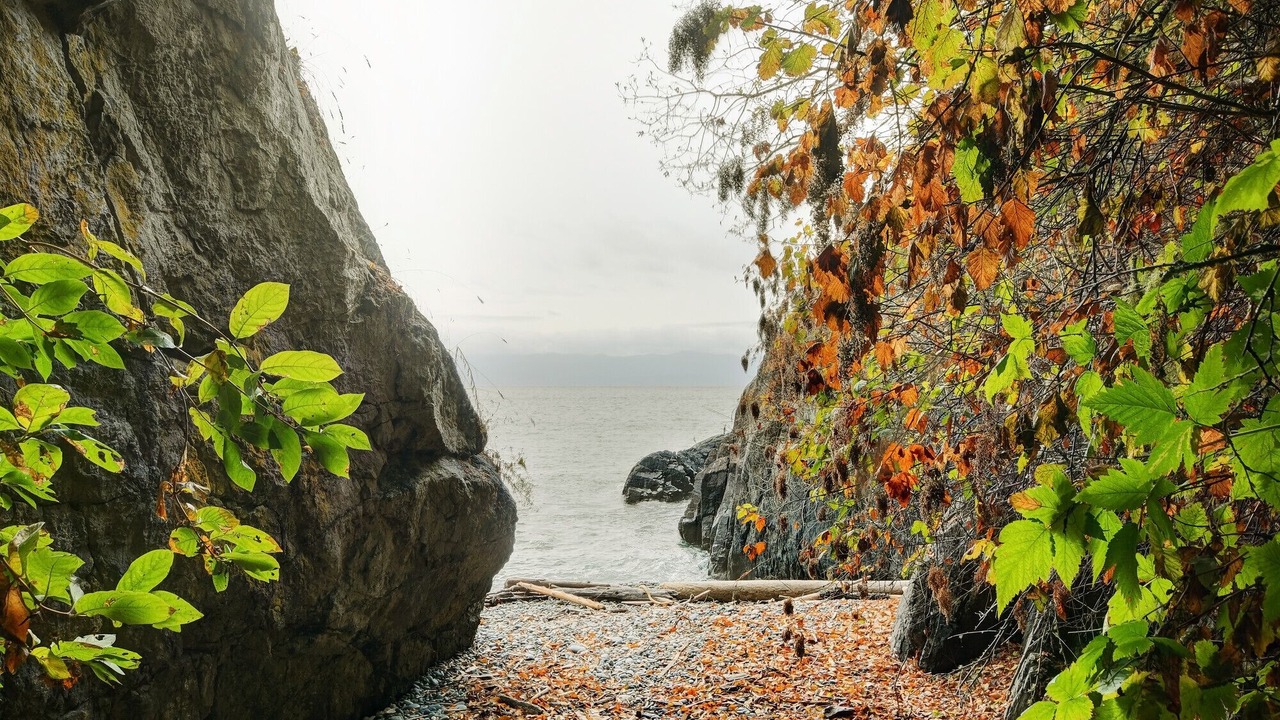 Photo of Outdoor in Otter Point