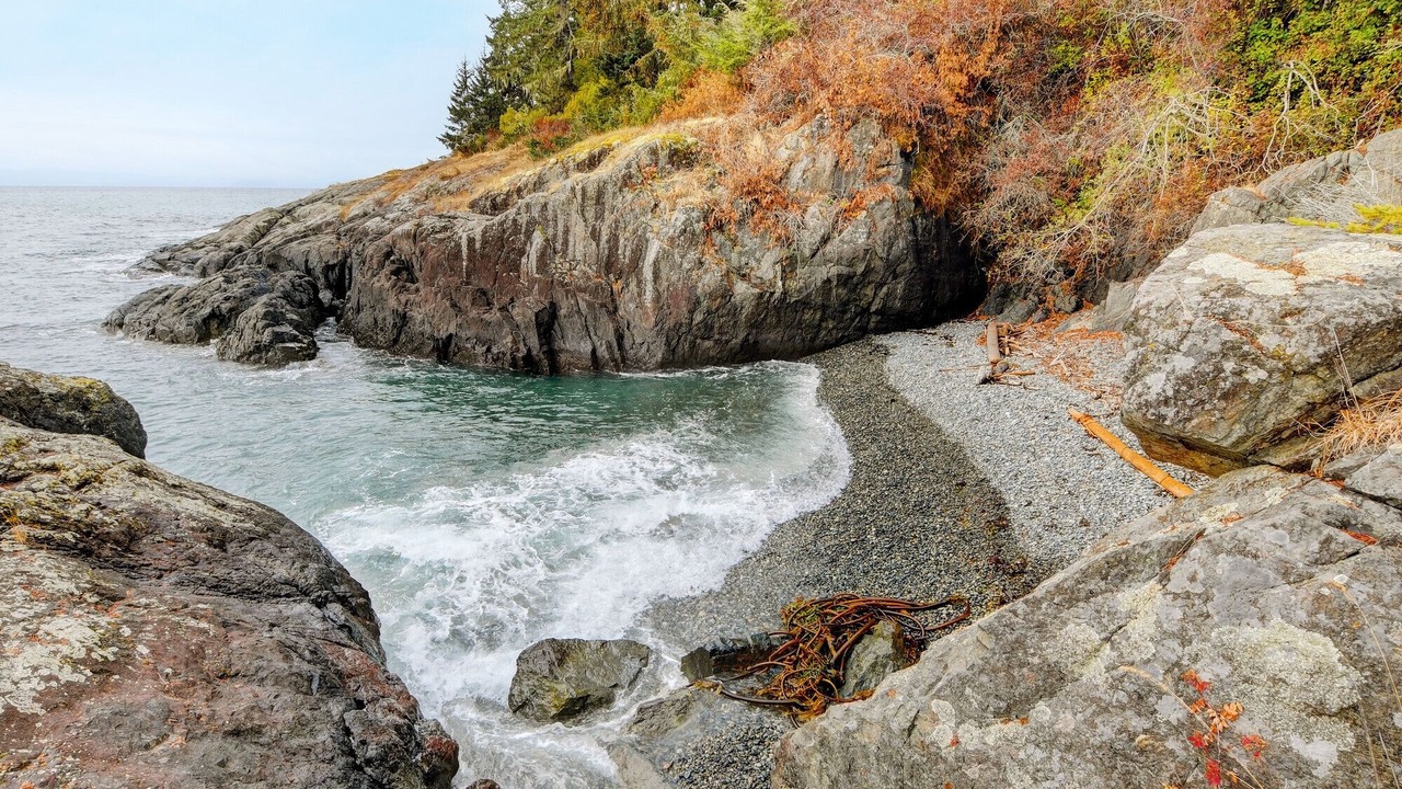 Photo of Others in Otter Point