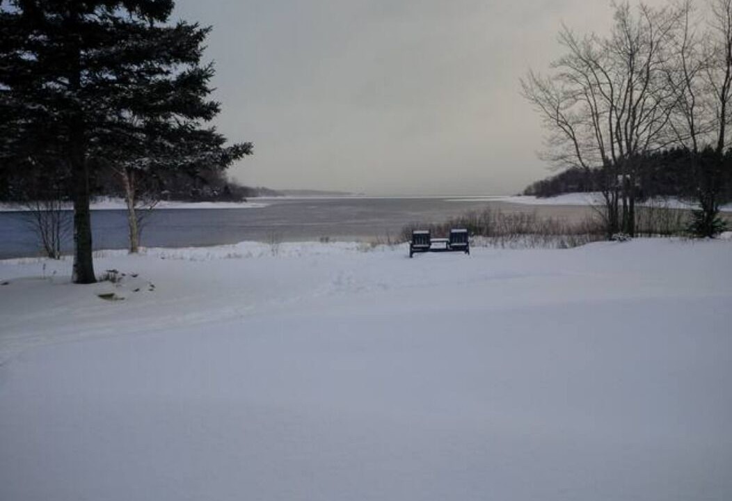 Photo of Others in Humber Valley
