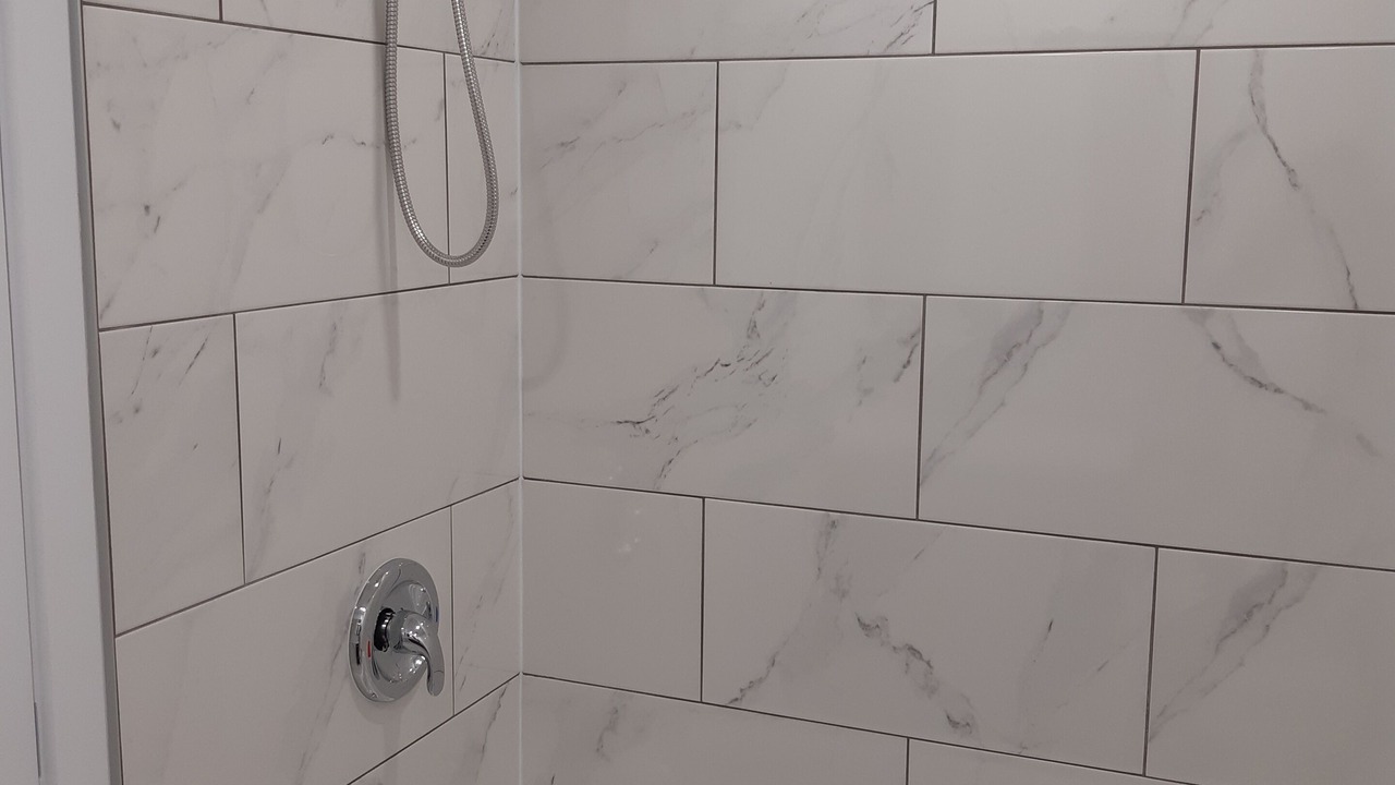 Photo of Bathroom in LaSalle