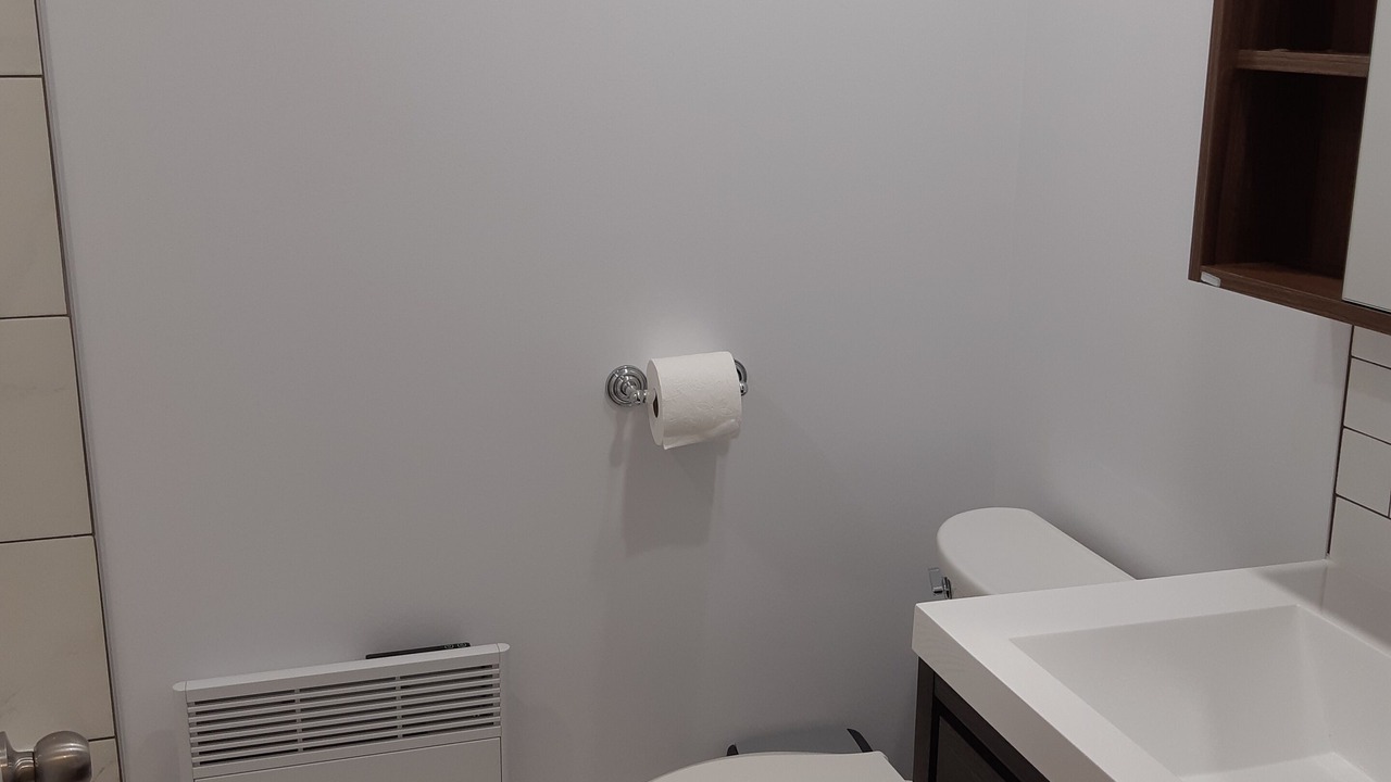 Photo of Bathroom in LaSalle