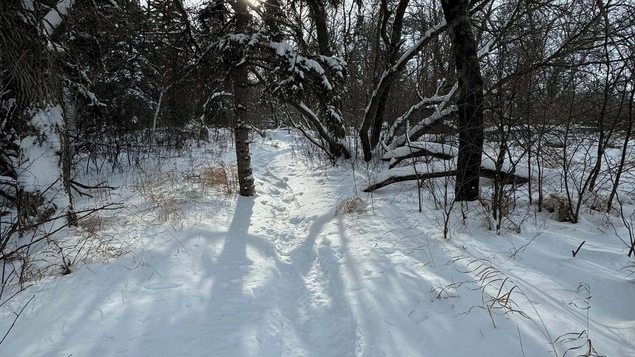 Photo of Others in Moose Jaw