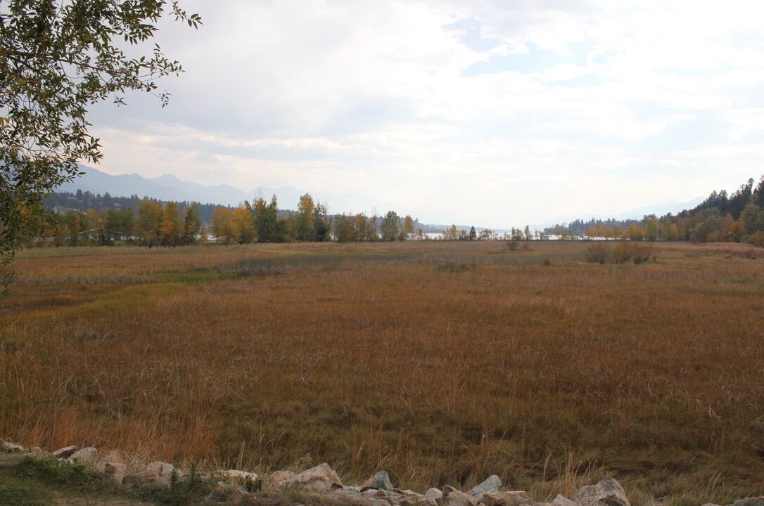 Photo of Others in East Kootenay