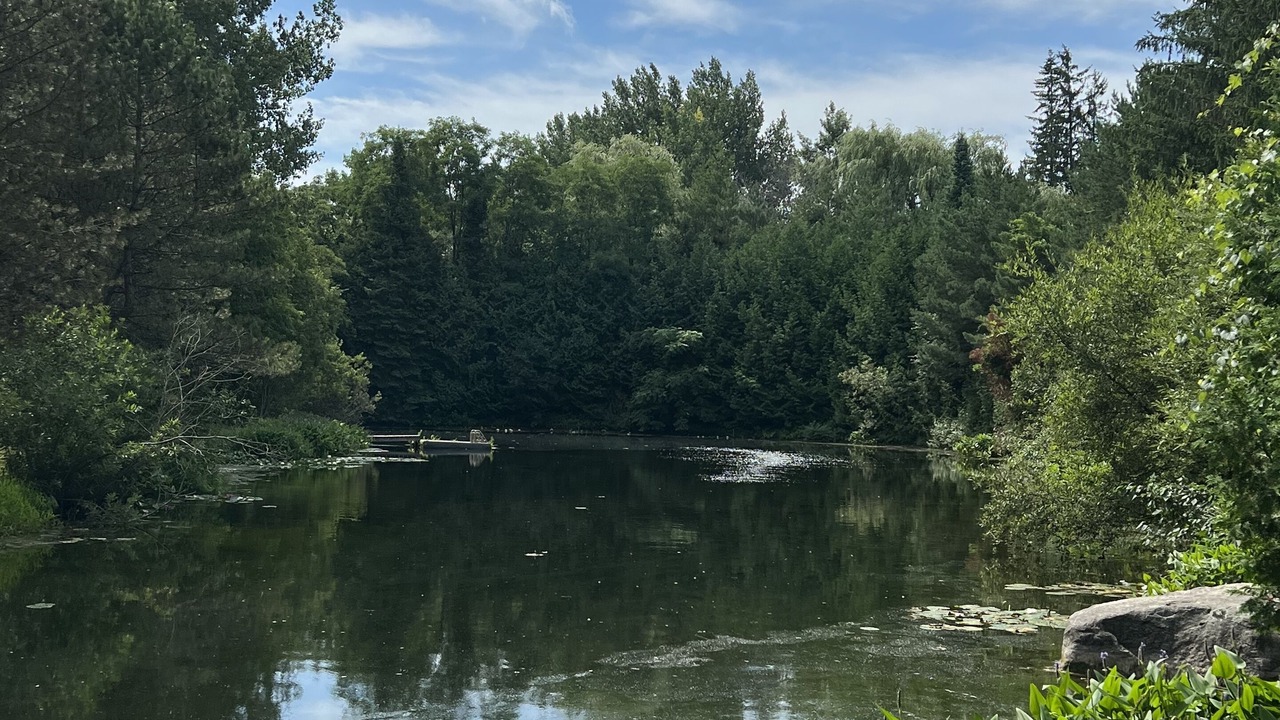 Photo of Outdoor in Port Perry